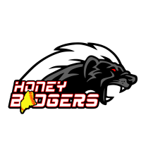 honey_badgers_softball